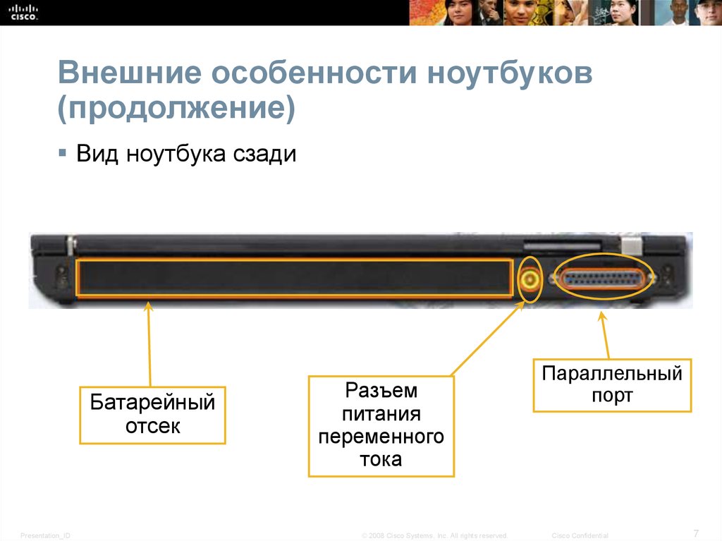 Внешние особенности