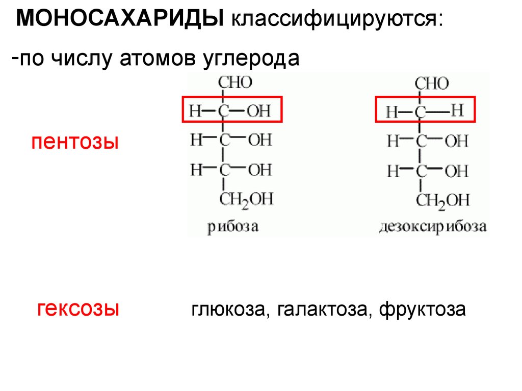Какие сложные вещества содержат атомы углерода. Углевод с 5 атомами углерода. Моносахариды по количеству атомов углерода. Моносахариды по числу атомов углерода. Пентозы и гексозы.