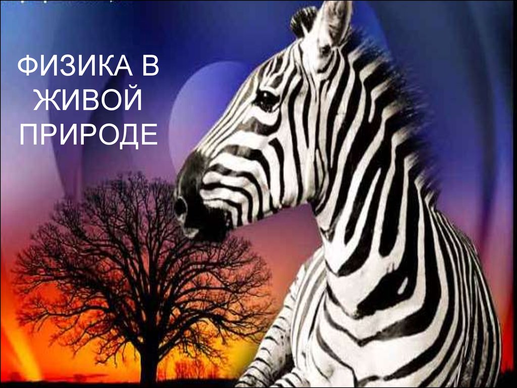 Физика в живой природе доклад. Картинки физики в живой природе. Физика в живой природе книга.