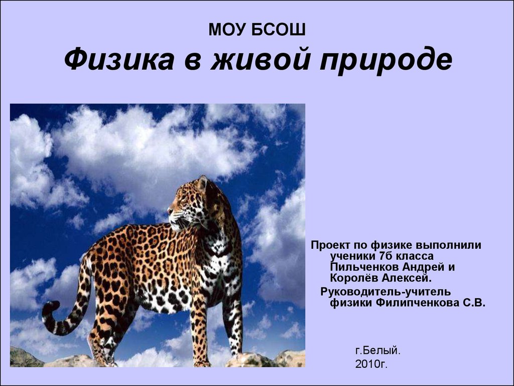 Физика в природе доклад. Физика в живой природе. Презентация на тему физика в живой природе. Физика в живой природе доклад.