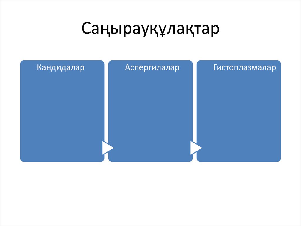 Саңырауқұлақтар