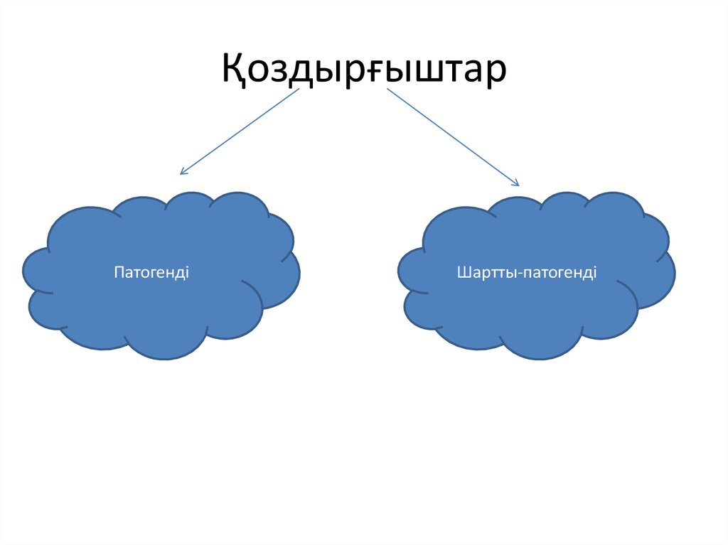 Қоздырғыштар