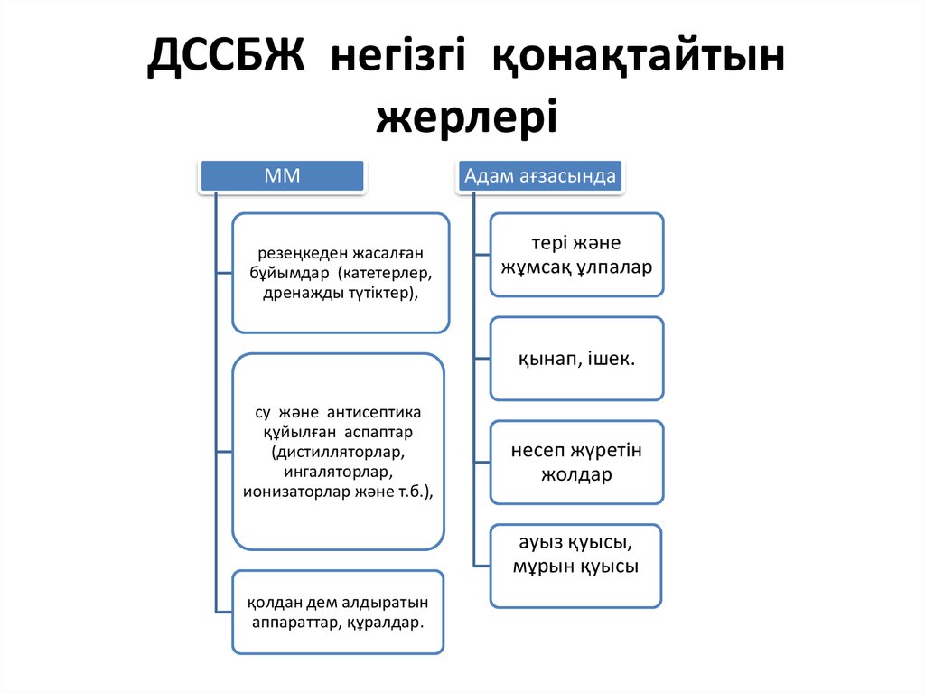 ДССБЖ негізгі қонақтайтын жерлері