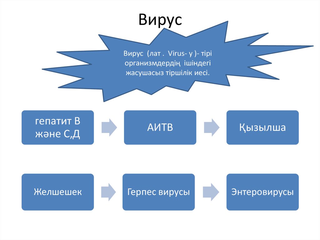 Вирус