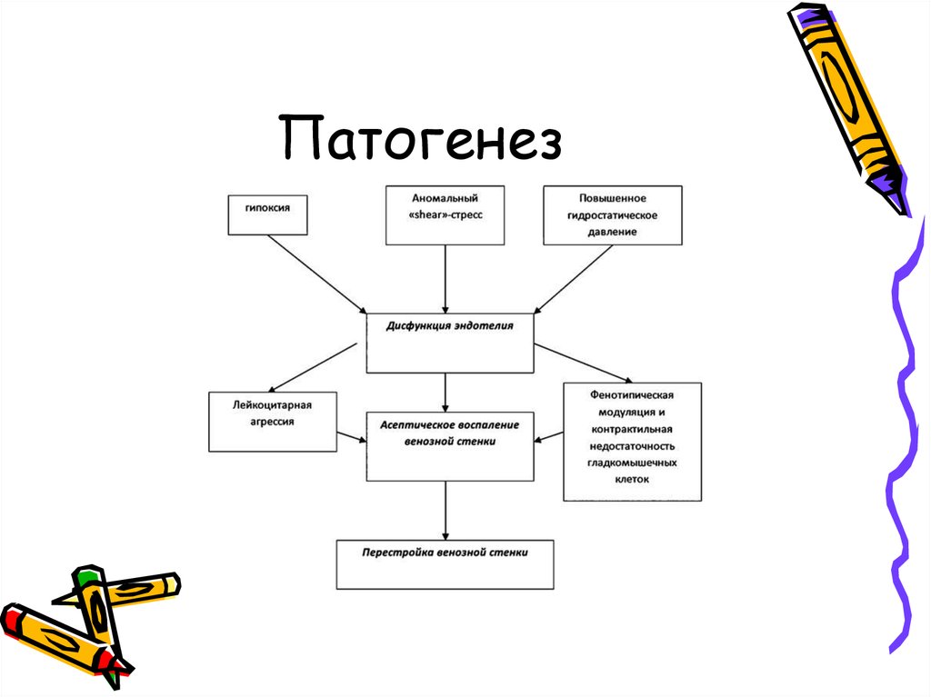 Схема патогенеза эшерихиоза