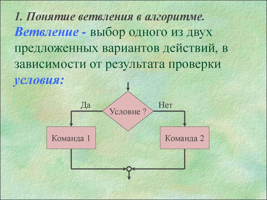 Графическое изображение ветвление