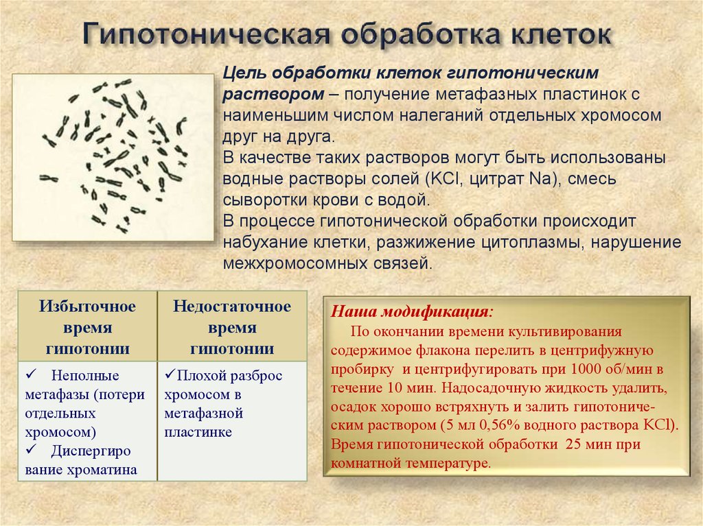 Появление в периферической крови бластов на фоне нормальной лейкоформулы характерно для