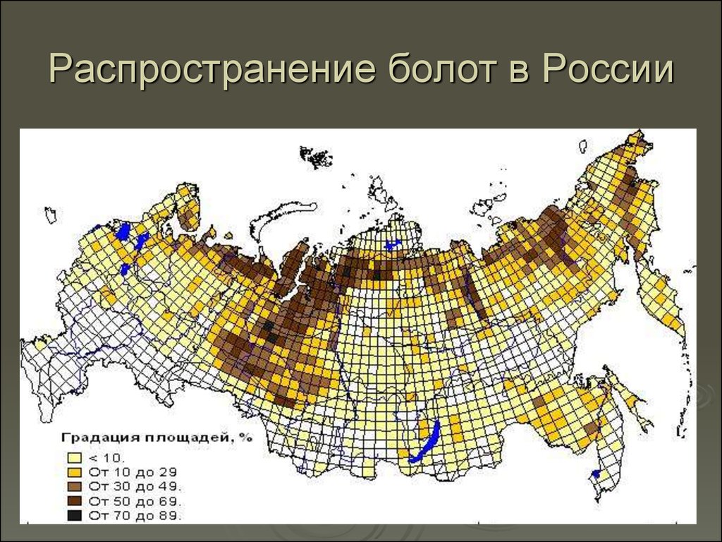 В какой зоне почвы сильно заболочены. Заболоченные территории России на карте. Карта распространения болот на территории России. Распространение болот на территории России. Карта России с болотами.