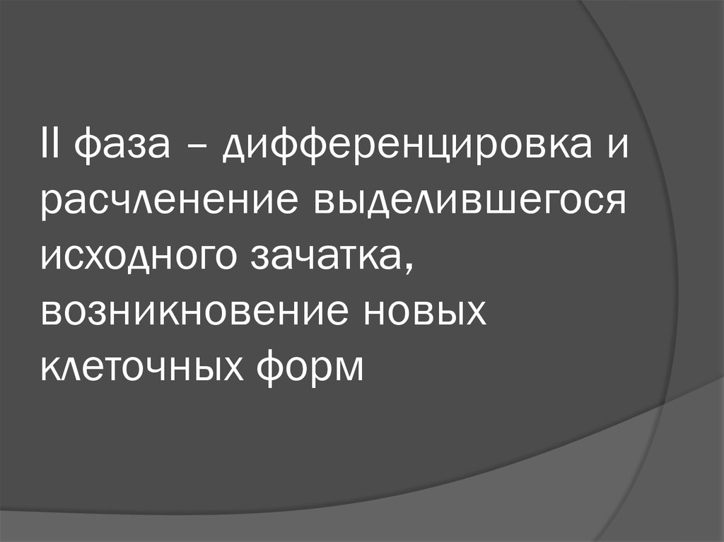 II фаза – дифференцировка и расчленение выделившегося исходного зачатка, возникновение новых клеточных форм
