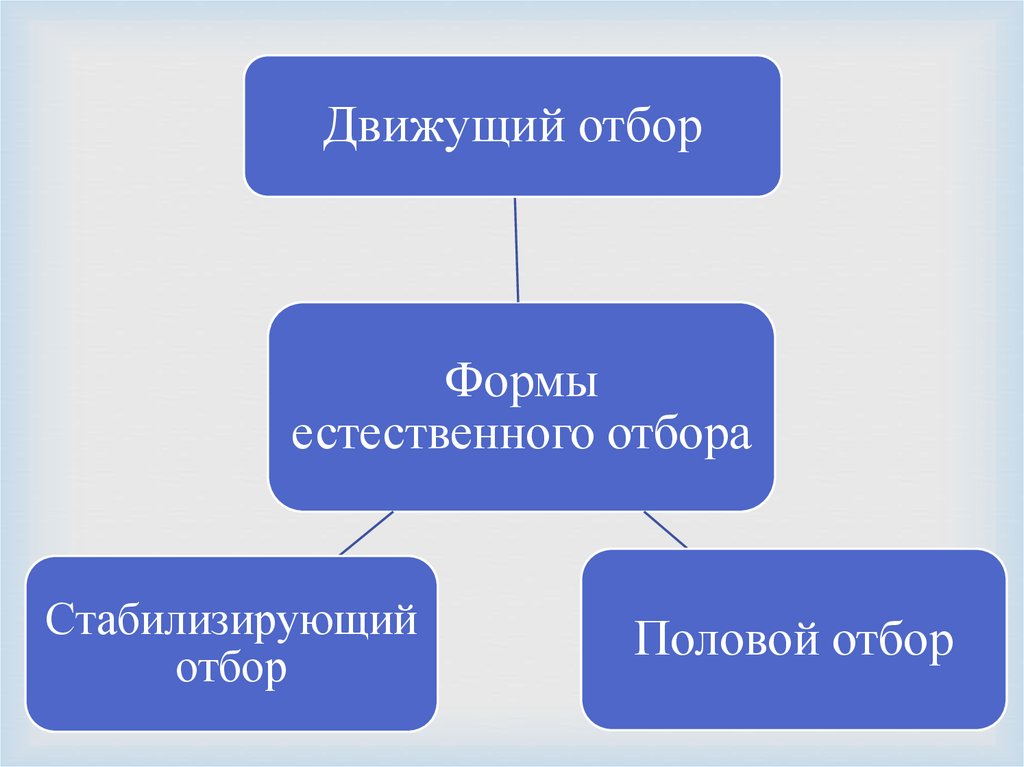 Естественный отбор в популяциях