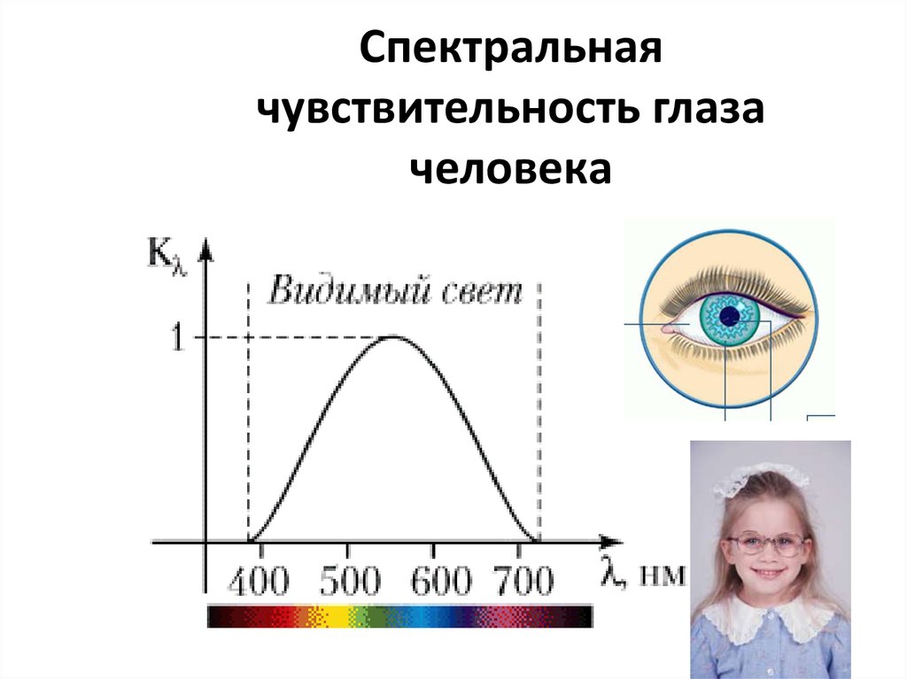 Спектральная чувствительность