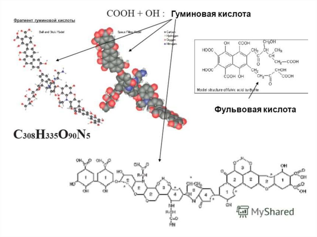 Гуминовые фульвовые кислоты для человека. Гуминовые кислоты формула. Гуминовая кислота структурная формула. Строение молекулы гуминовой кислоты. Структурный схема гуминовых кислот.