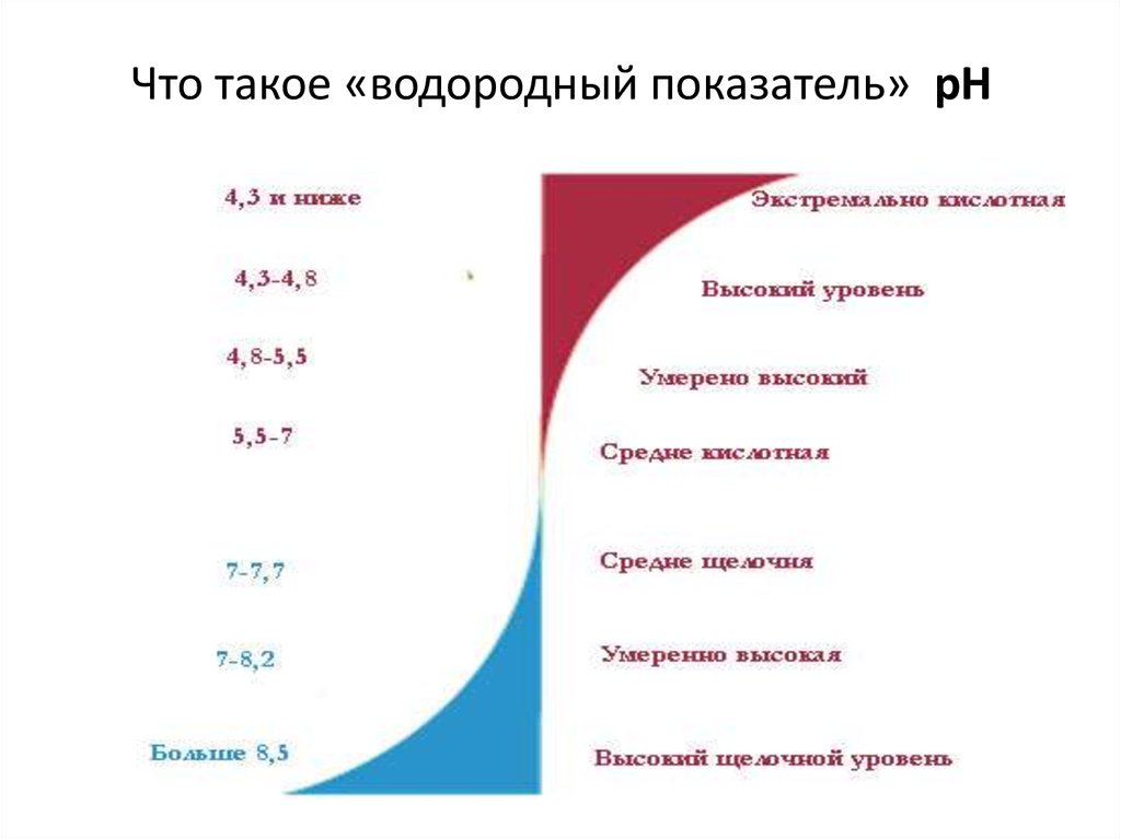 Что такое «водородный показатель» рН