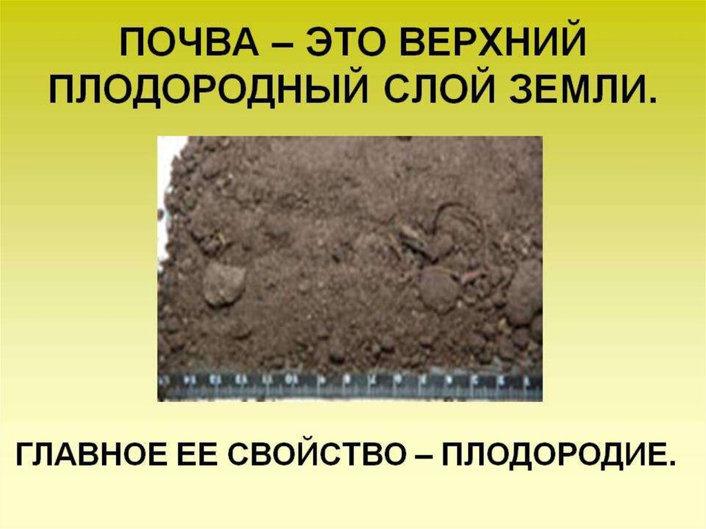 Как называется плодородный слой земли. Презентация по теме почва. Плодородие почвы презентация. Почва слайд. Верхний плодородный слой земли.
