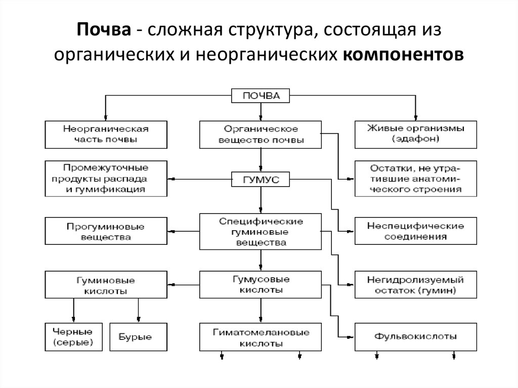 Компоненты почвы. Неорганические вещества в почве. Компоненты почвы схема. Органические компоненты почвы. Неорганические компоненты почвы.