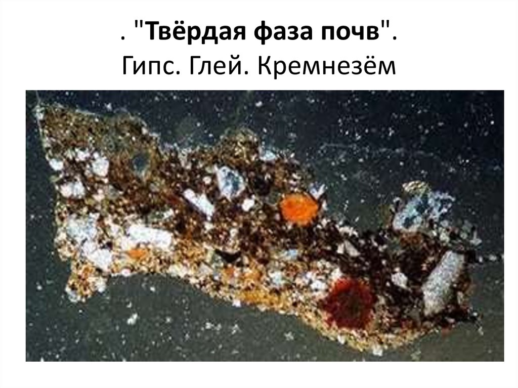 . "Твёрдая фаза почв". Гипс. Глей. Кремнезём