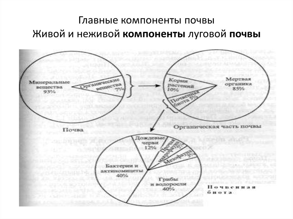 Среди основных составляющих