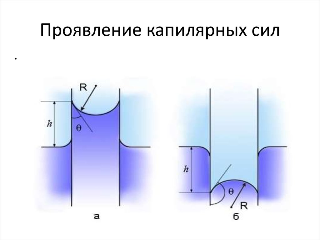 Проявление капилярных сил
