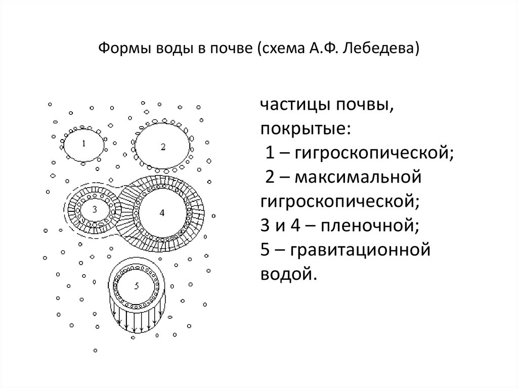 Схема почвенных вод