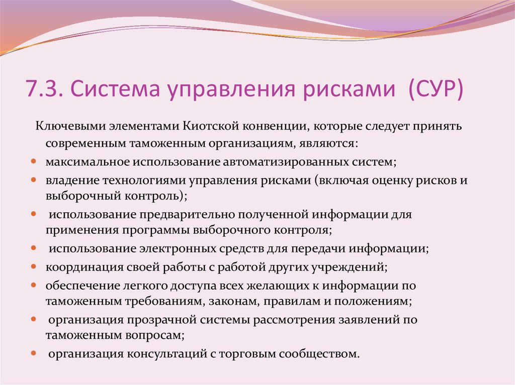 7.3. Система управления рисками (СУР)