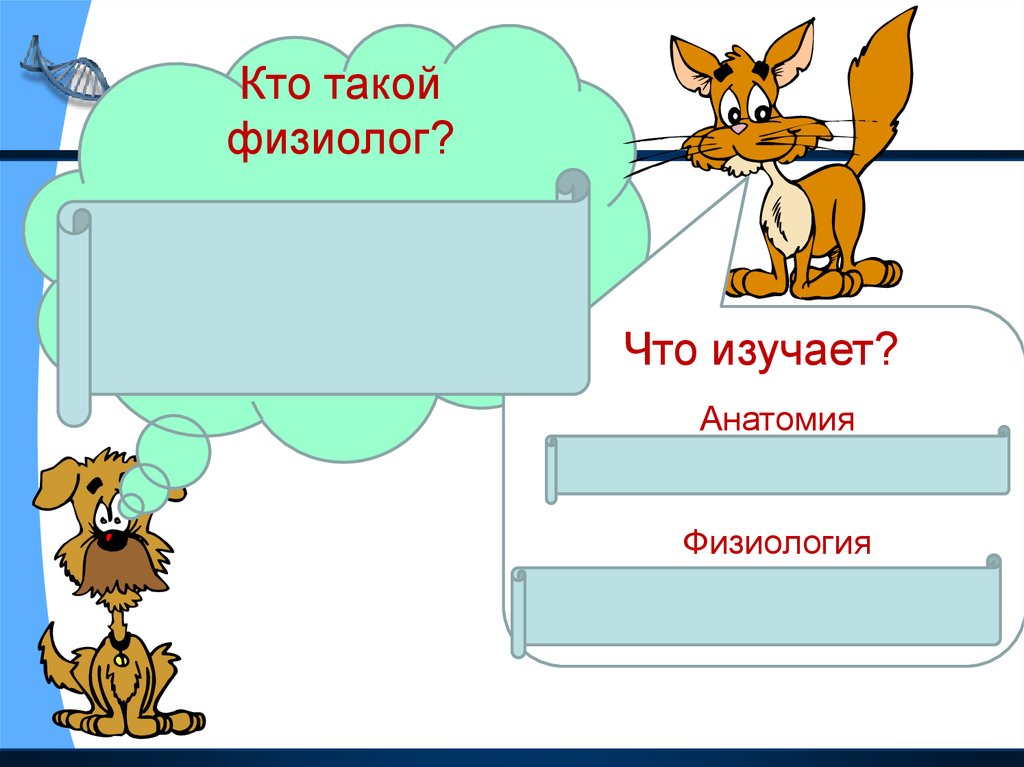 Окружающий мир 3 класс темы уроков. Организм человека 3 класс презентация. Человек 3 класс окружающий мир презентация. Окружающий мир 3 класс тема человек. Презентация по окружающему миру 3 класс человек.