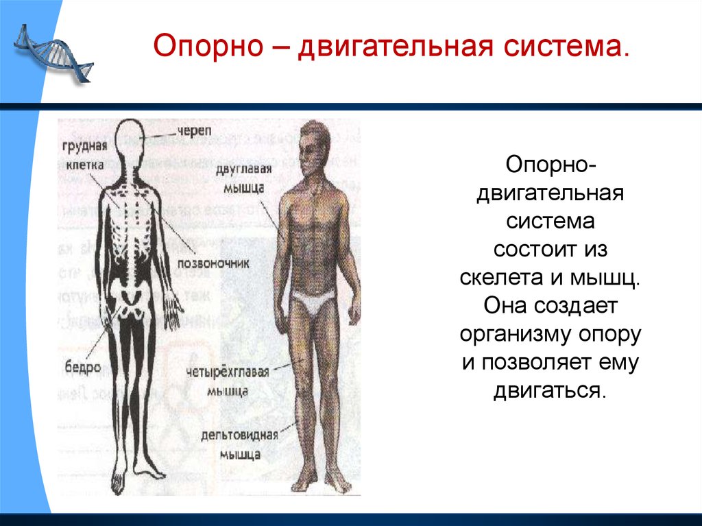 Из чего состоит картина