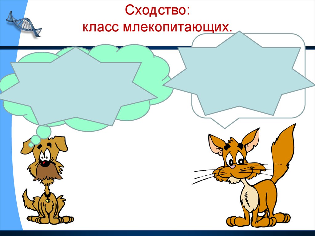 Человек и животное 3 класс. Человек-часть живой природы 3 класс презентация. Человек часть живой природы 3 класс. Человек часть живой природы задания. Опорная схема урока человек часть живой природы.