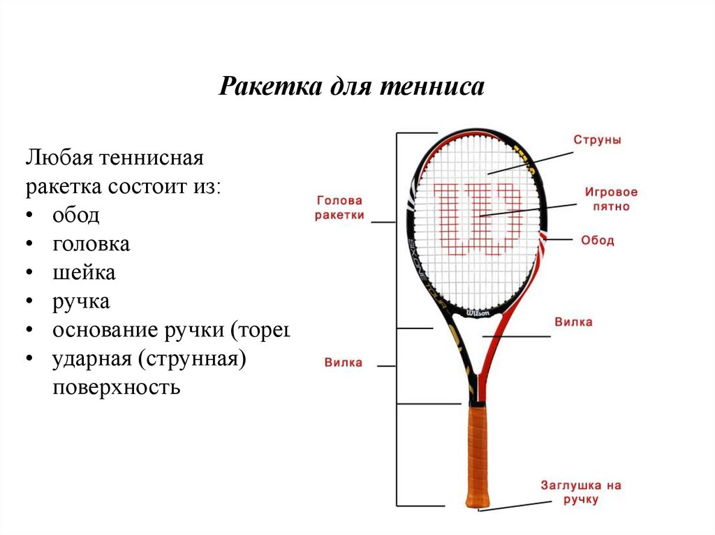 Размеры теннисных ручек. Из чего состоит ракетка для настольного тенниса схема. Из чего состоит теннисная ракетка для настольного тенниса. Из чего состоит ракетка для большого тенниса. Из чего состоит теннисная ракетка для большого тенниса.