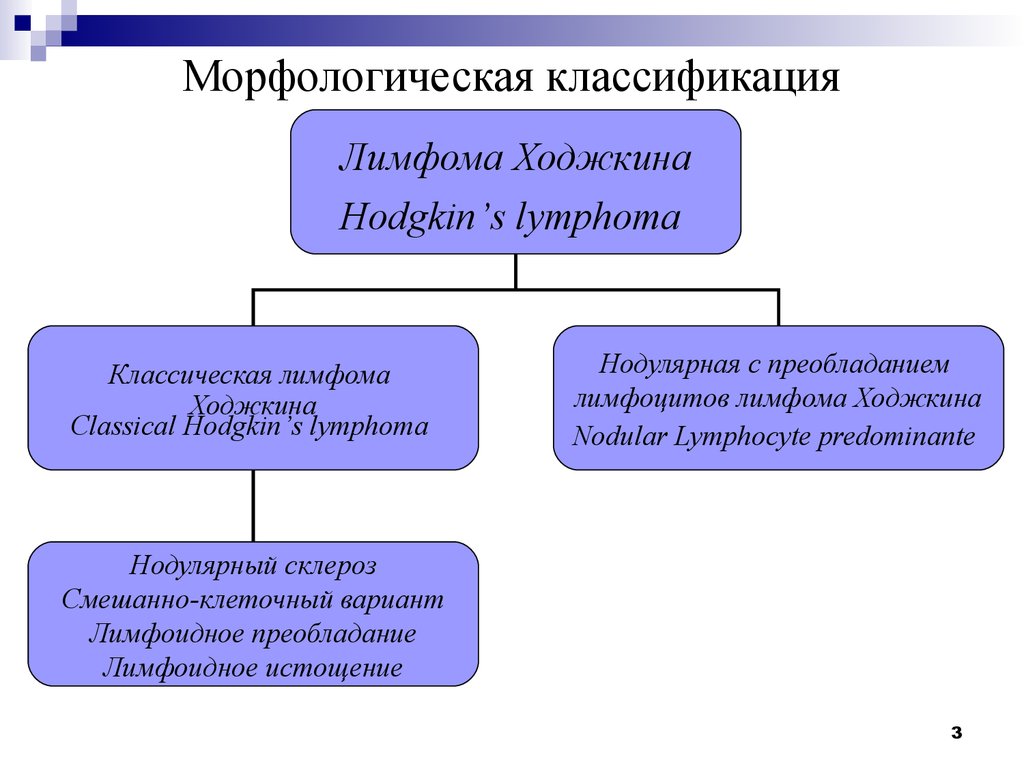 Неходжкинская лимфома презентация