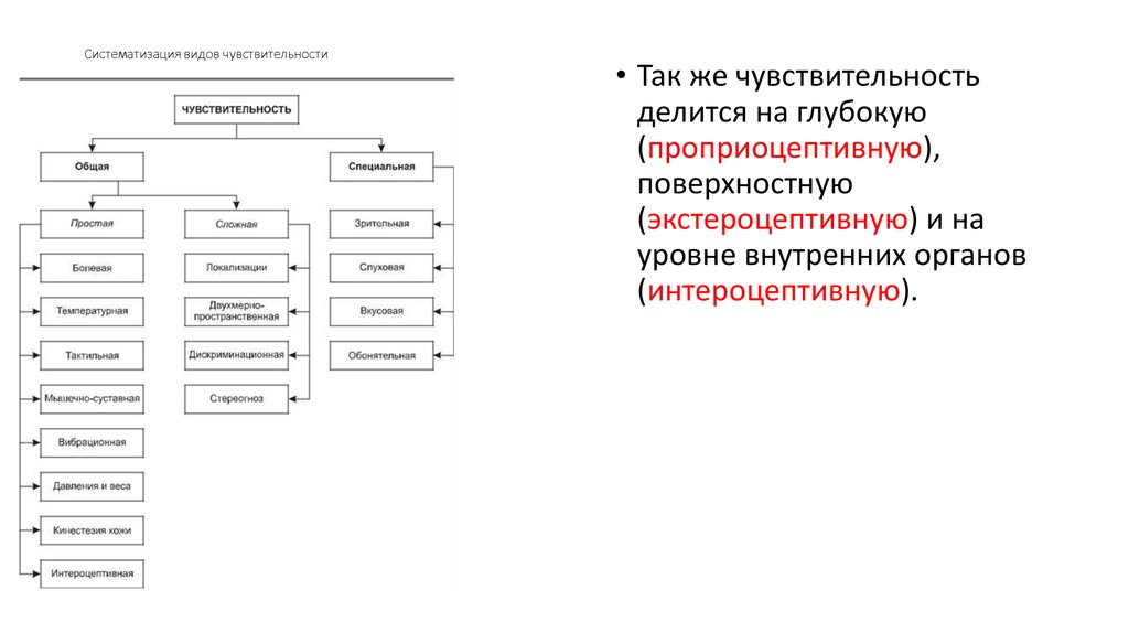 Виды систематизации