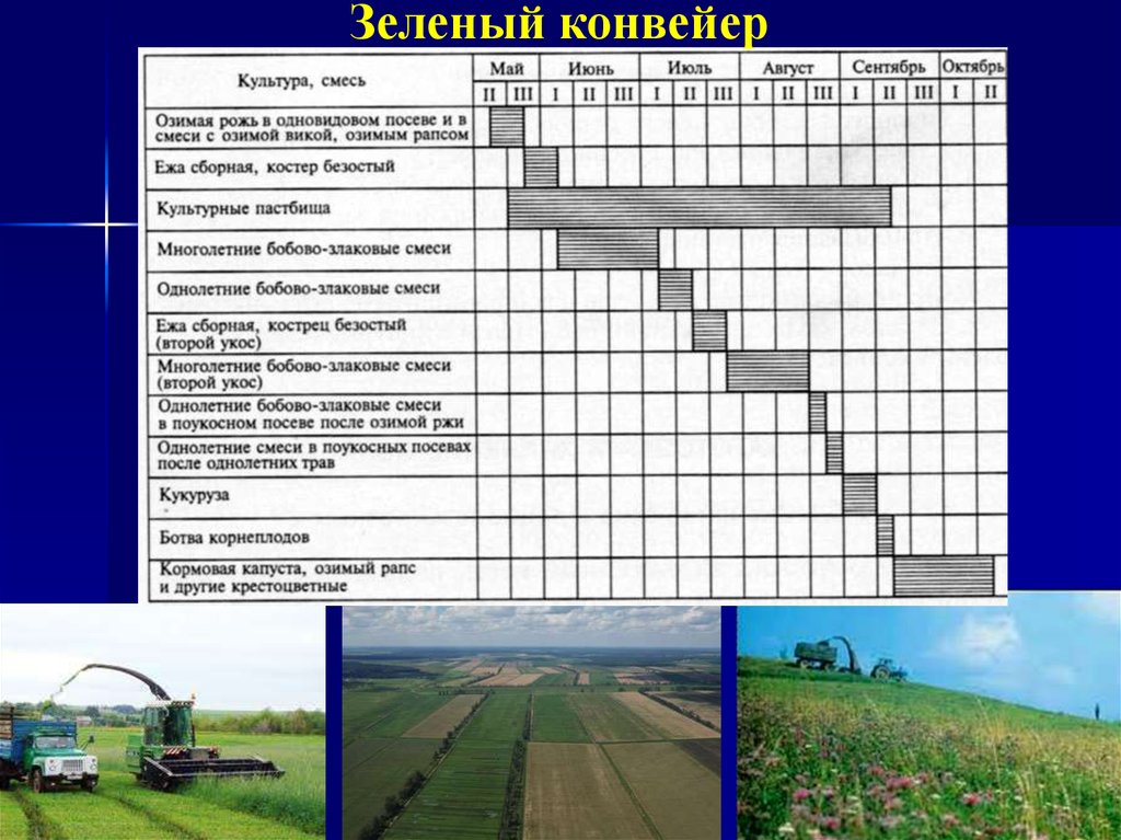 Схема зеленого конвейера