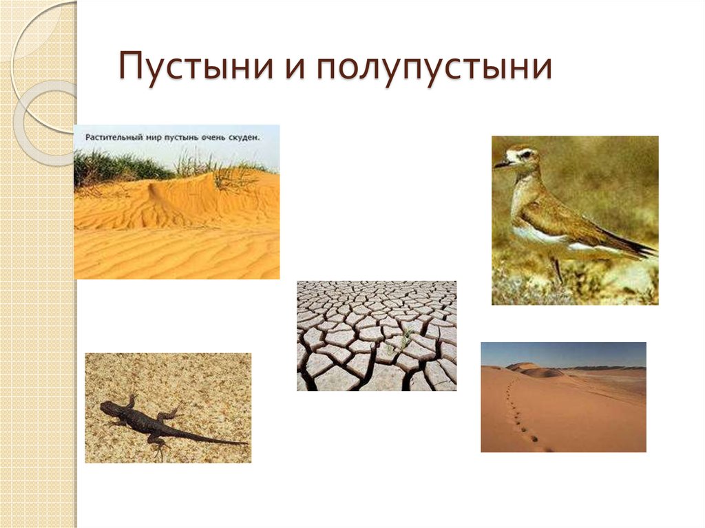 Зона пустынь и полупустынь на карте. Пустыни и полупустыни природная зона. Зона пустынь и полупустынь в России. Зона пустыни в России. Пустыни и полупустыни России на карте.