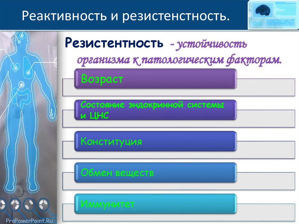 Пол состояния. Реактивность и резистентность организма. Факторы определяющие реактивность организма. Понятие о реактивности и резистентности организма. Реактивность и резистентность организма патофизиология.