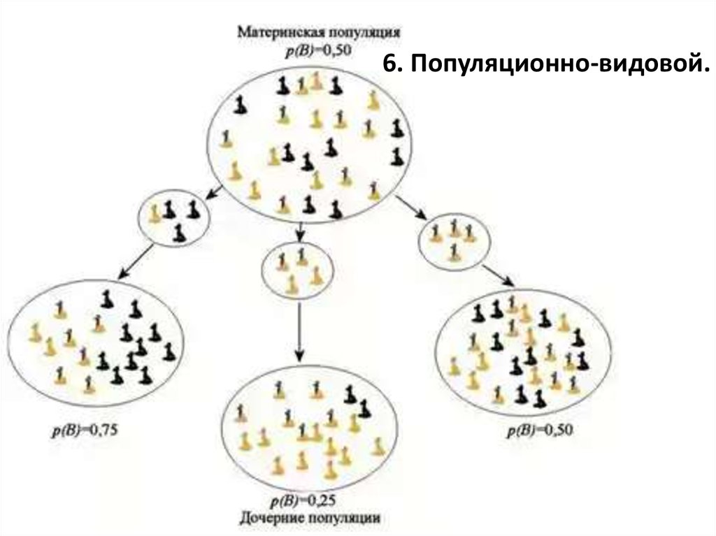 В популяции известны. Схема популяции животных. Вид состоит из популяций. Изменение популяции. Обмен генами между популяциями.