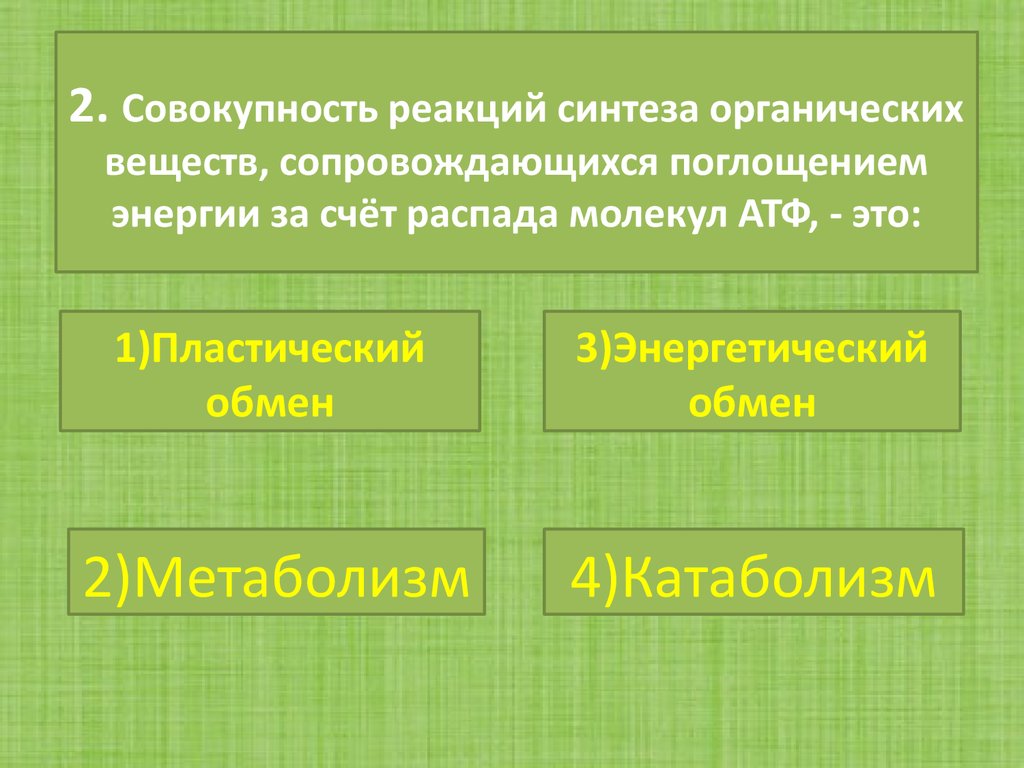 Совокупность клеток которые образуют в табличном процессоре темный прямоугольник это