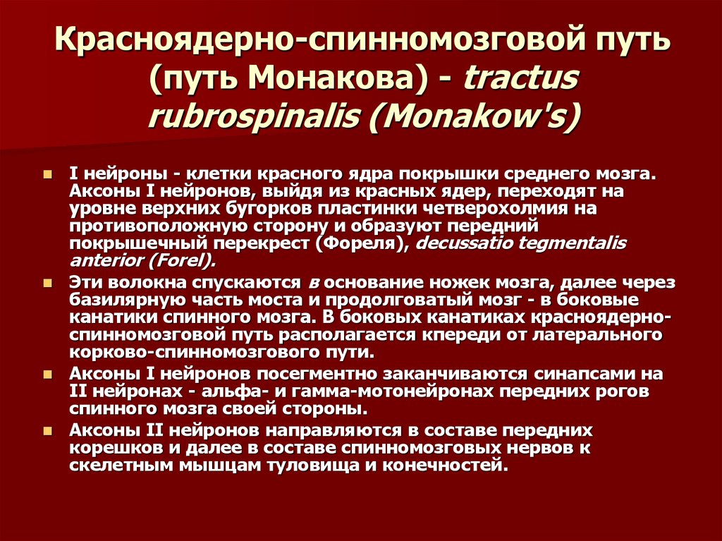 Красноядерно спинномозговой путь схема