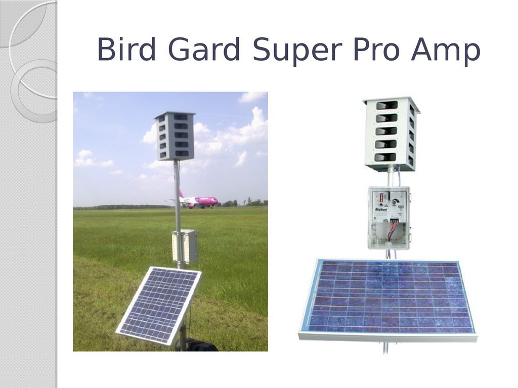 Super pro купить. Bird Gard super Pro amp. Биоакустическая установка Bird Gard super Pro amp. Биоакустическая система отпугивания птиц. Биоакустическое оборудование для отпугивания птиц.
