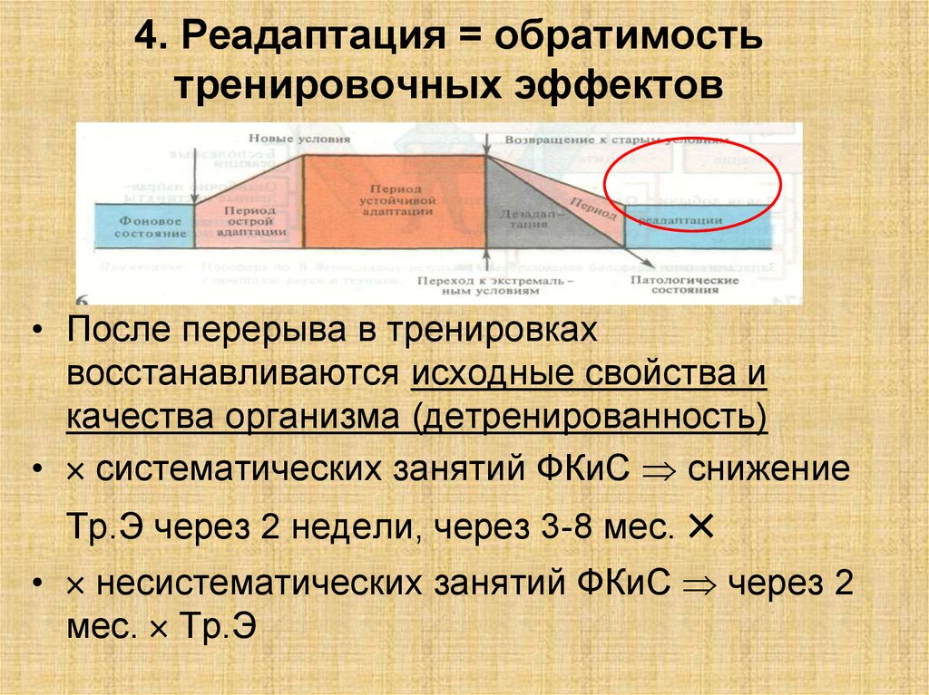 Чем достигается обратимость чертежа