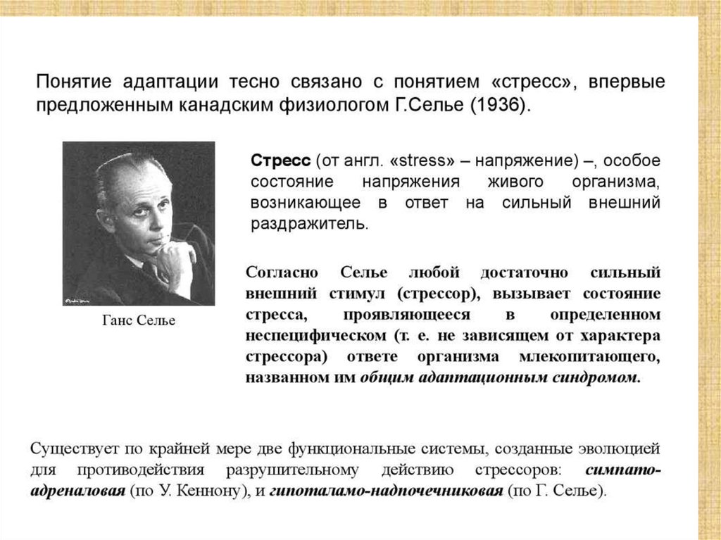 Термин организм предложил. Понятие адаптации. Понятие адаптации и стресса. Понятие адаптация тесно связано с понятием. Учение об адаптации.