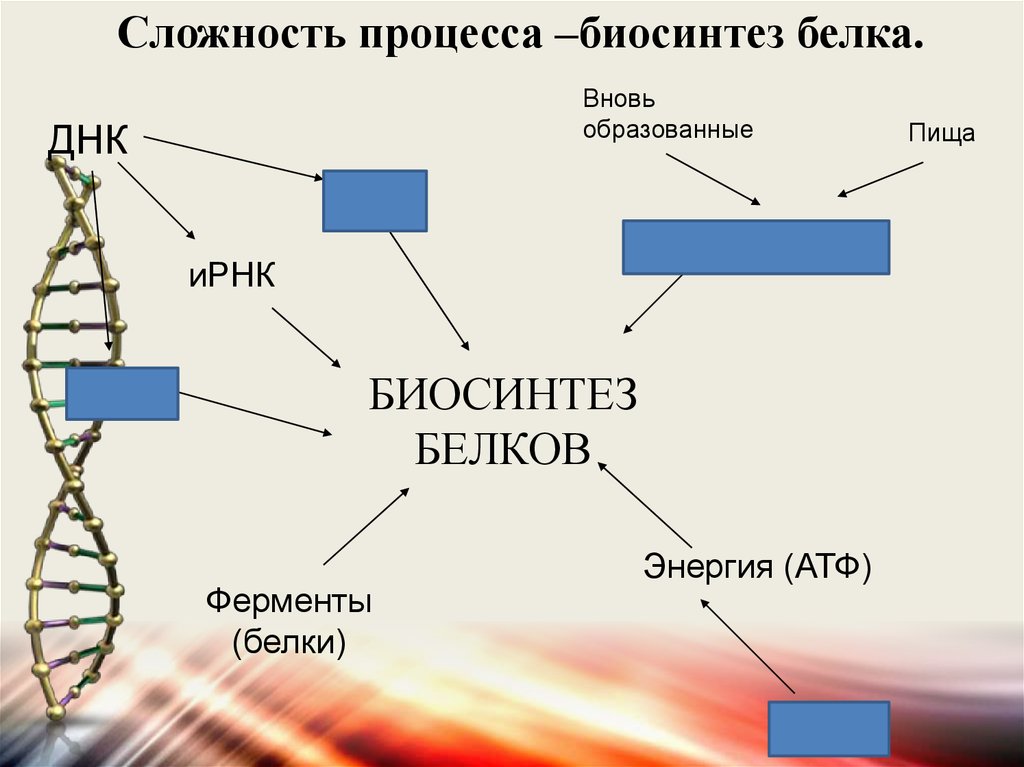 Атф ферменты белки. Сложность процесса Биосинтез белка. Ферменты биосинтеза белка. Белки ферменты Биосинтез. Ферменты и белки биосинтеза белка.