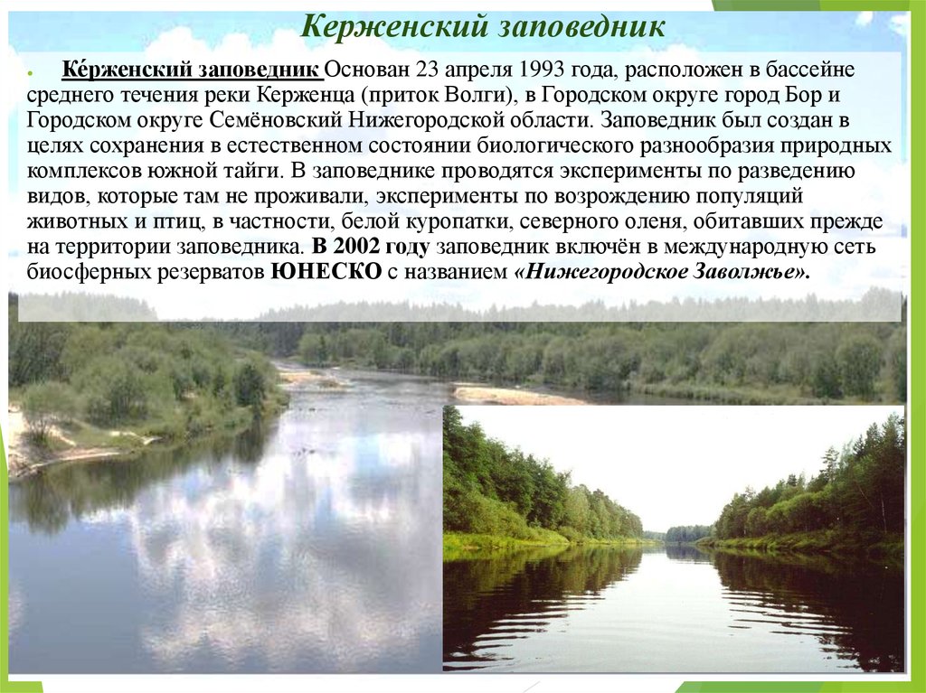 Презентация керженский заповедник нижегородской области