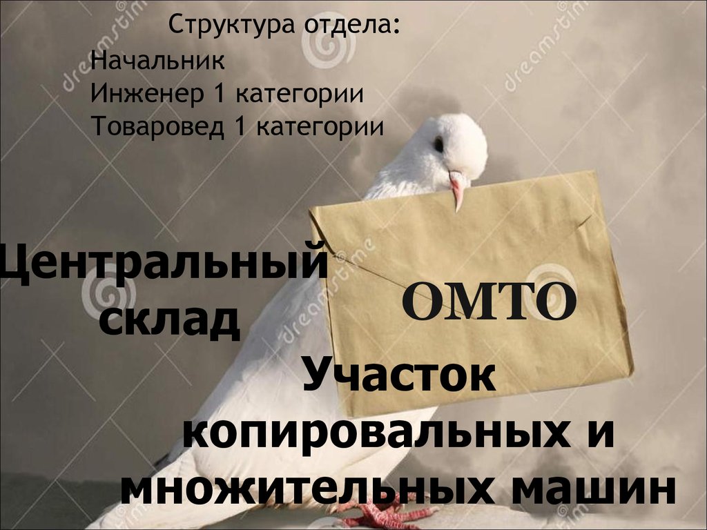 Центральный ОМТО склад. Участок копировальных и множительных машин. Отчет -  презентация онлайн