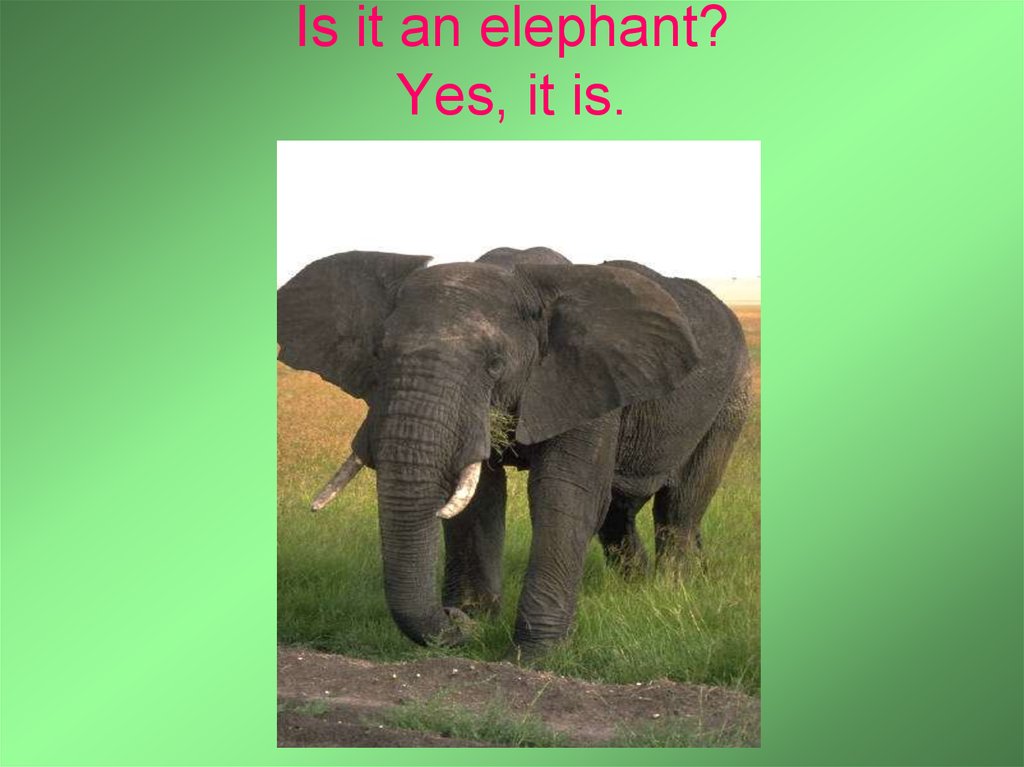 Is it an elephant? Yes, it is.