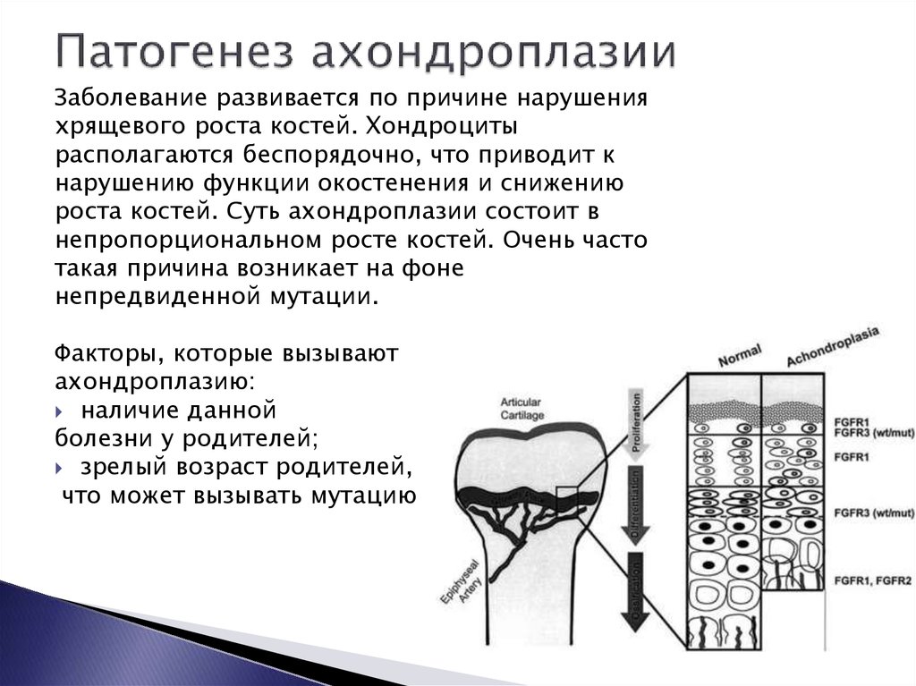 Синдром дресслера понятие патогенез клиническая картина диагностика и принципы лечения