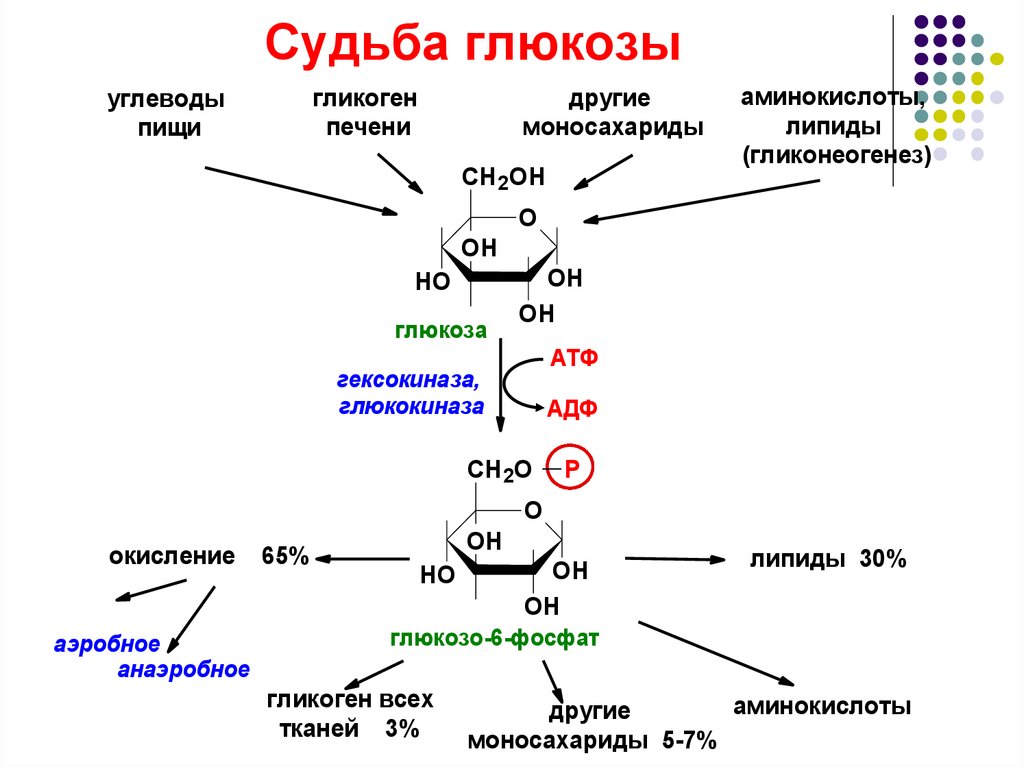 Сжигание глюкозы. Составьте схему формирования уровня Глюкозы в крови.. Схема реакций расщепления гликогена. Схема синтеза гликогена из Глюкозы. Схему реакции фосфорилирования Глюкозы в клетках.