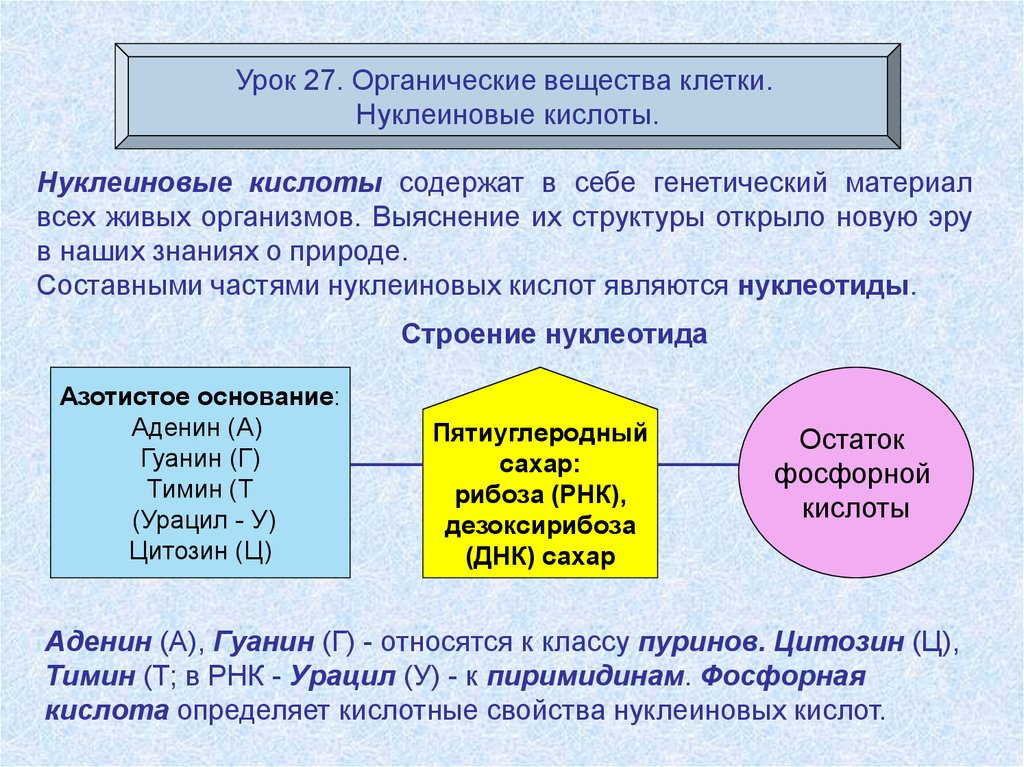 Химический состав клетки презентация егэ
