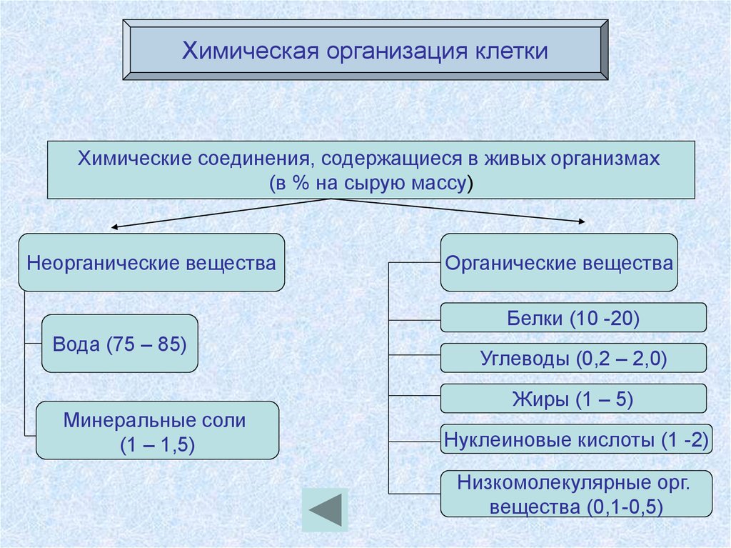 Презентация на тему неорганические вещества