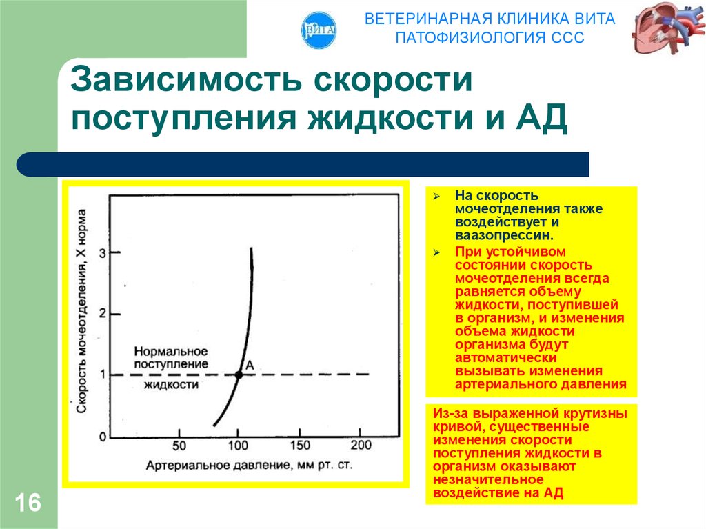 Скорость зависит от давления. Зависимость скорости от давления. Зависимость давления от скорости жидкости. Зависимость скорости от объема жидкости. Скорость мочеотделения.