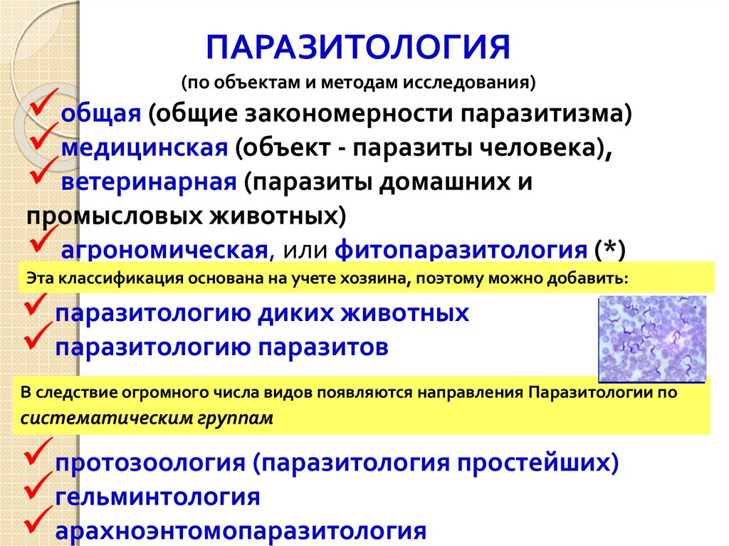 Паразитология. Разделы медицинской паразитологии. Предмет паразитологии. Методы паразитологии. Предмет изучения паразитологии.