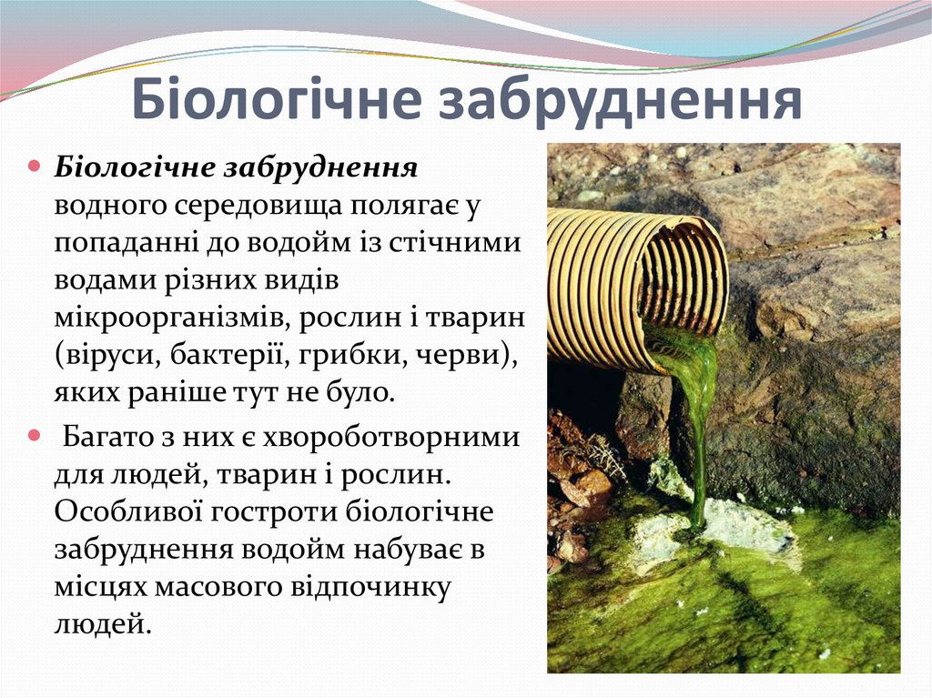 Біологічне забруднення